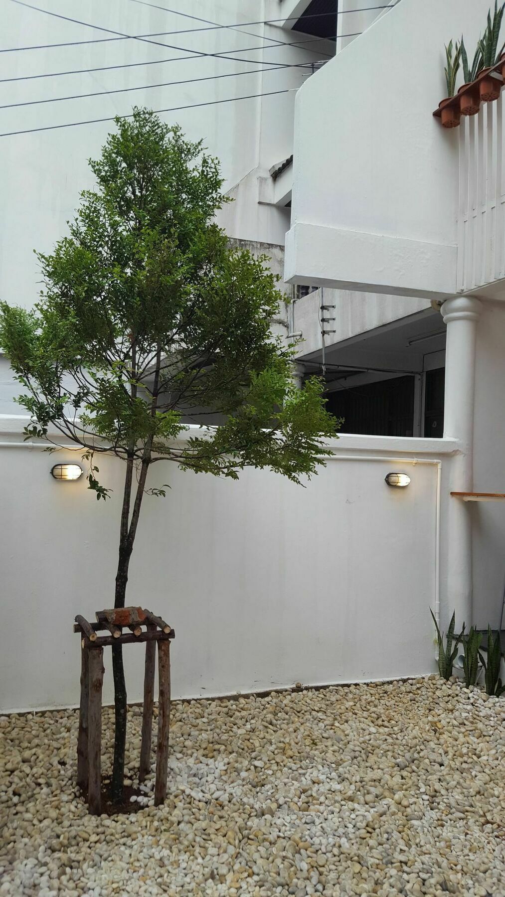 Haus Sathorn 21 Bed And Breakfast Бангкок Экстерьер фото